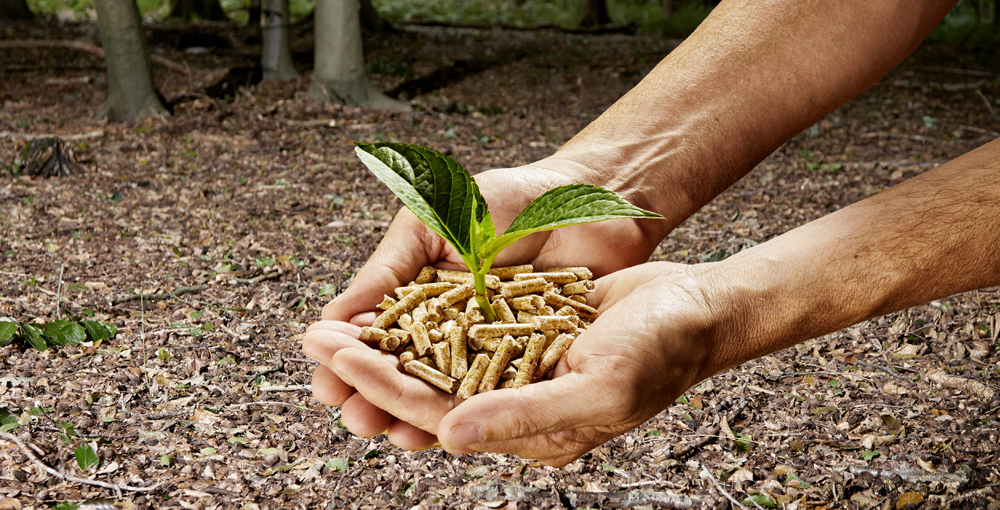 holzpellets-die-klimabewusste-alternative holzpellets-die-klimabewusste-alternative
