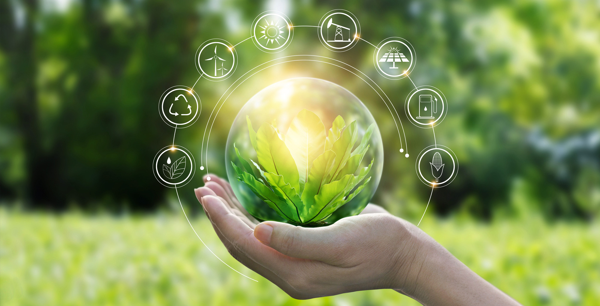 Wemplus Grüne Energie Management Klimaziele erreichen Wemplus Grüne Energie Management Klimaziele erreichen